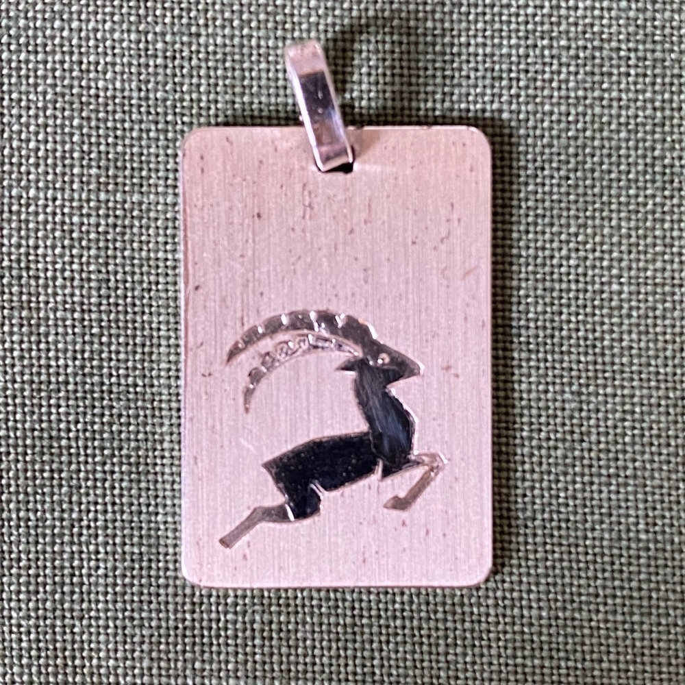 VTG I ROWi I STG I Capricorn I Goat I Pendant